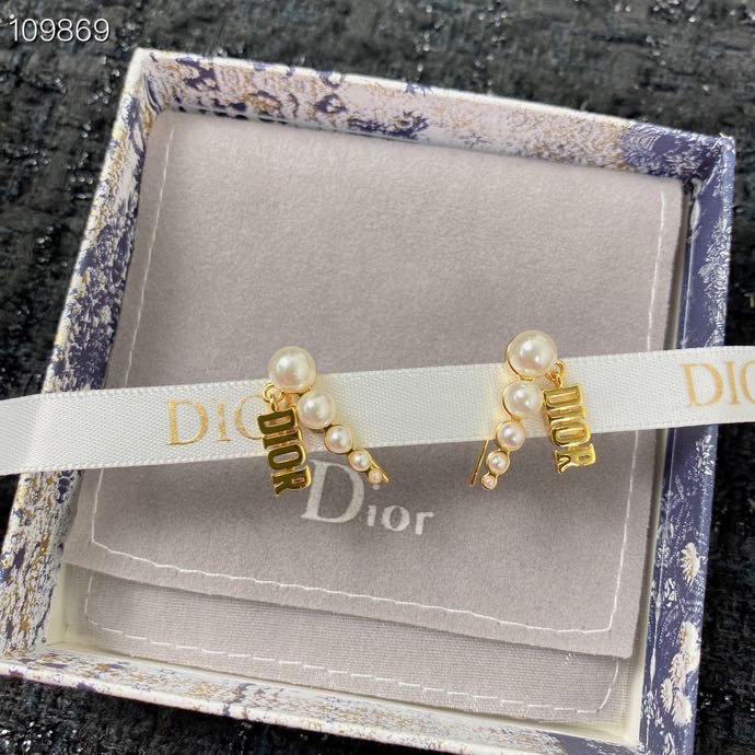 Christian Dior Earrings